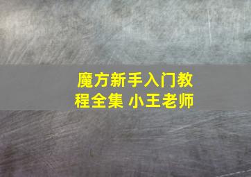 魔方新手入门教程全集 小王老师